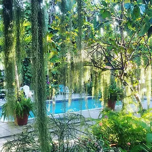 ** Guest house Orchid Jamaica